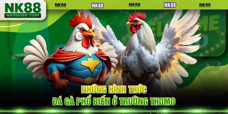Những hình thức đá gà phổ biến ở trường Thomo